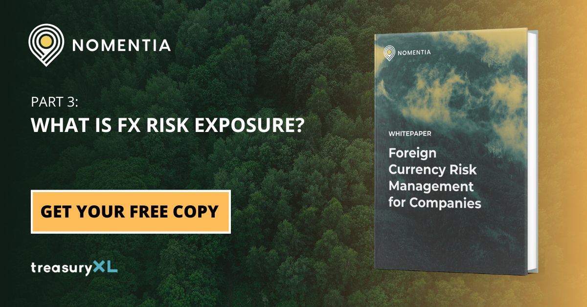 FX Risk Exposure