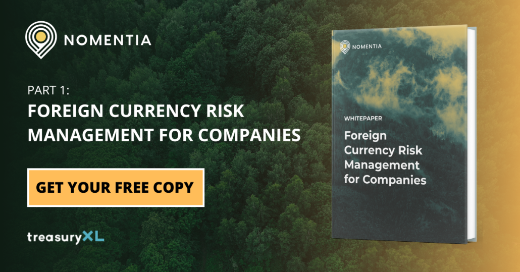 Foreign Currency Risk Management for Companies