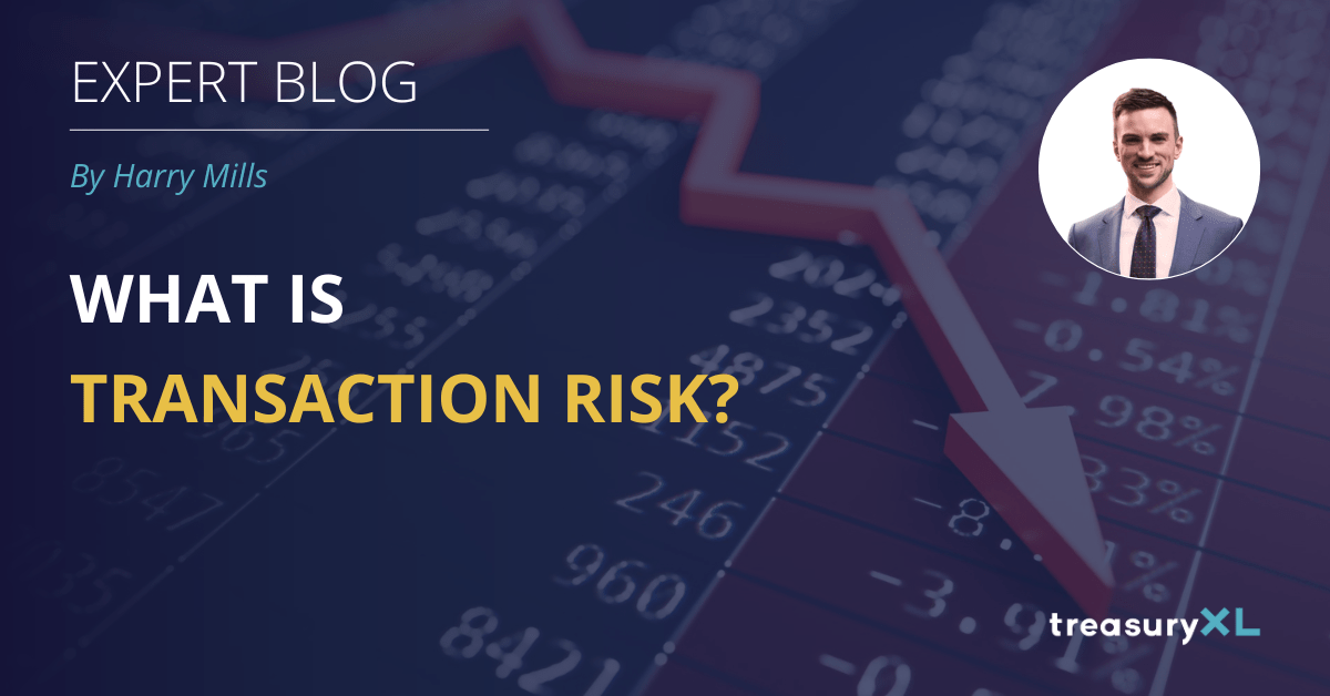 What is Transaction Risk?