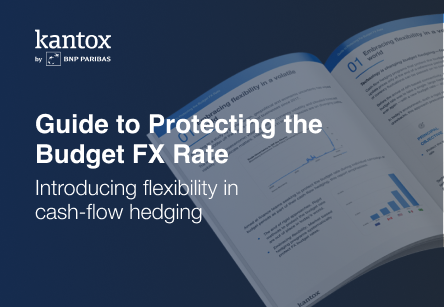 68cbd9418b46d4f305a80381_Budget-Hedging-Report